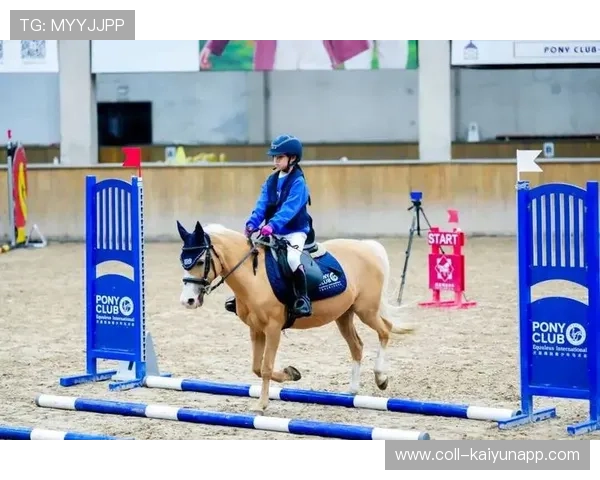 泰国马术协会举办青少年马术交流活动，促进国际友谊。，泰国马是什么意思