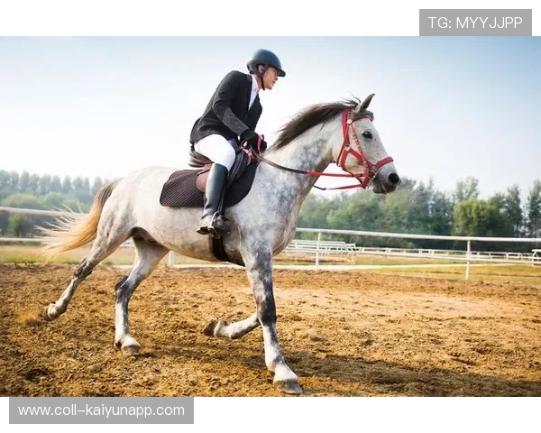 葡萄牙骑手玛丽亚·卡埃塔诺在2024年葡萄牙盛装舞步锦标赛中以“Hit Plus”马匹获得个人赛第四名，展现坚韧精神。