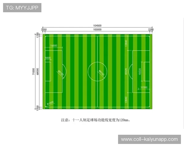 足球球场用地政策优化带动建设速度，足球场用地标准